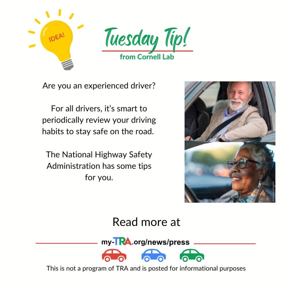 Safe Driving Tips show two images of people in the drivers seat.