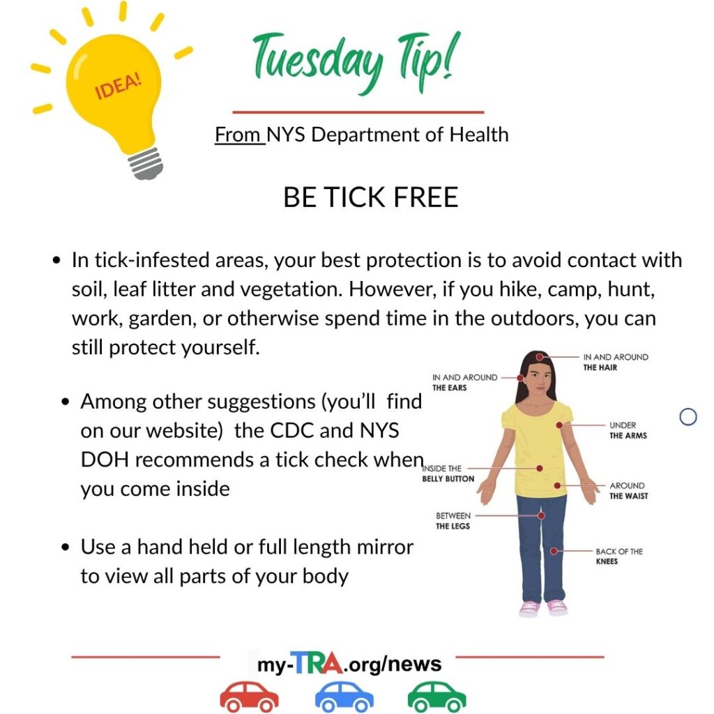 Tuesday Tip with light bulb lighting up with the word idea and image of a person showing where to check for ticks and tick related illness